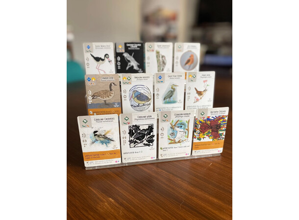 Wingspan Fan Art Cards Expansion Expansion till Wingspan 