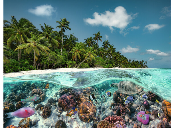 A Dive in the Maldives 2000 bitar Pussel - Ravensburger Puzzle 