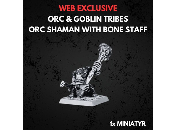 Orc & Goblin Tribes Orc Shaman Warhammer The Old World 