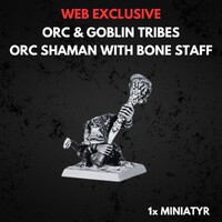 Orc & Goblin Tribes Orc Shaman Warhammer The Old World