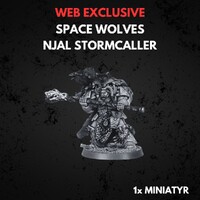 Space Wolves Njal Stormcaller Warhammer 40K
