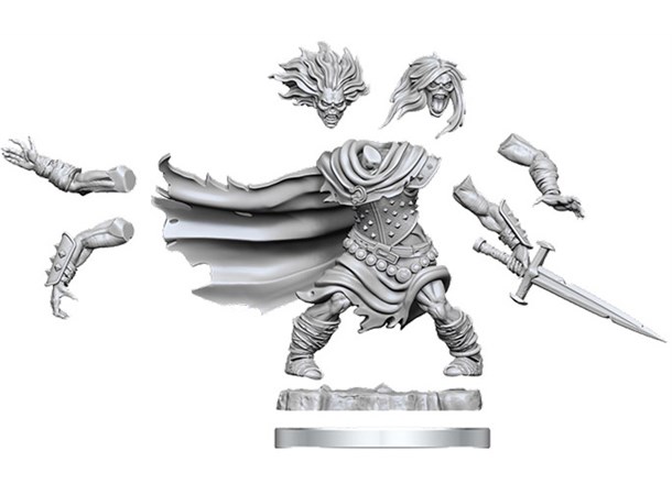 D&D Figur Frameworks Wight 