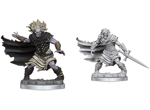 D&D Figur Frameworks Wight 