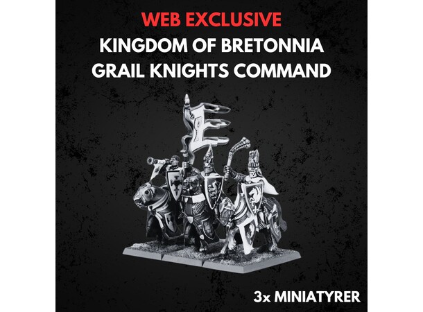 Kingdom of Bretonnia Grail Knights Comma Warhammer The Old World - Command 