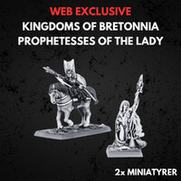 Kingdom of Bretonnia Prophetesses Lady Warhammer The Old World