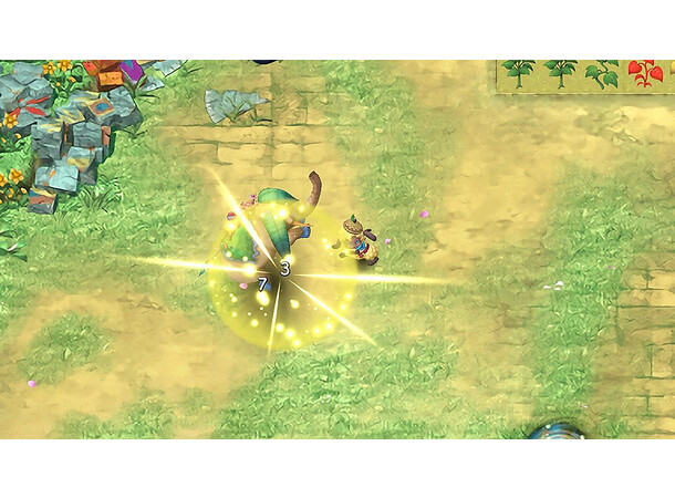 Rune Factory 3 Special Switch 