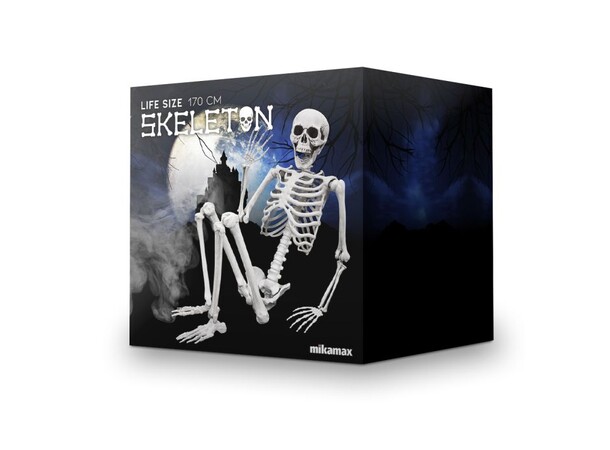Skelett i full storlek - 170 cm Life Size Skeleton 