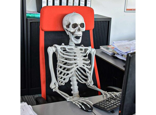 Skelett i full storlek - 170 cm Life Size Skeleton 