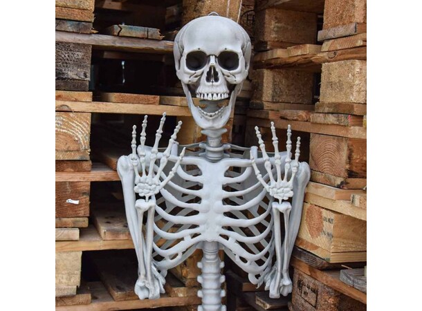 Skelett i full storlek - 170 cm Life Size Skeleton 