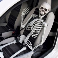 Skelett i full storlek - 170 cm Life Size Skeleton