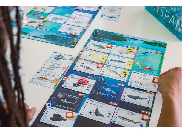 Finspan Brädspel Svensk utgåva 