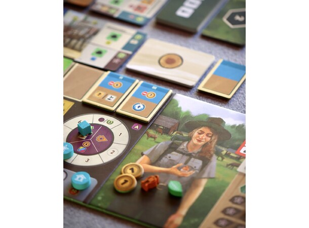 Forestry Brädspel 