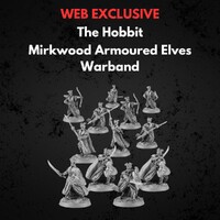 Mirkwood Armoured Elves Warband Middle-earth Strategy Battle Game