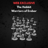 Warriors of Erebor Middle-earth Strategy Battle Game
