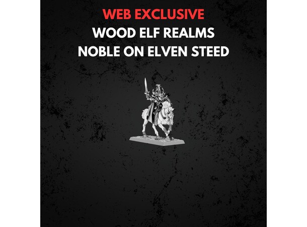 Wood Elf Realms Noble on Elven Steed Warhammer The Old World 