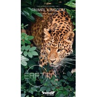 Earth Animal Kingdom Expansion Expansion till Earth