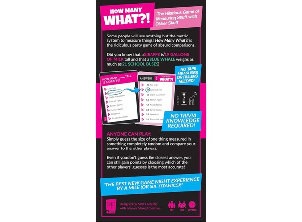 How Many What Partyspel 