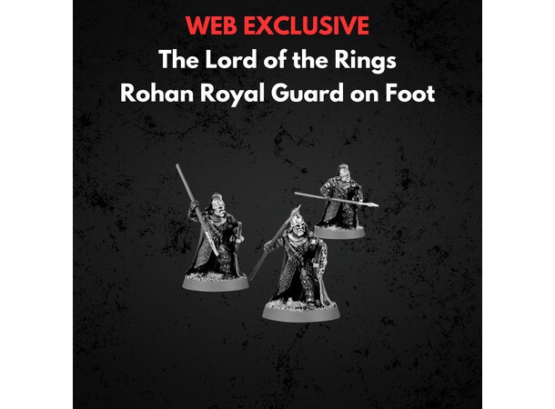 Rohan Royal Guard on Foot Middle-earth Strategy Battle Game 