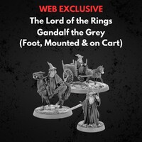 Gandalf the Grey Foot Mounted on Cart Middle-earth Strategy Battle Game