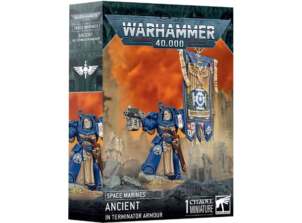 Space Marines Ancient Terminator Armour Warhammer 40K 