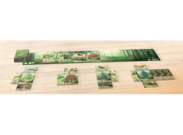 Forest Shuffle Brädspel - Svensk Svensk utgåva 