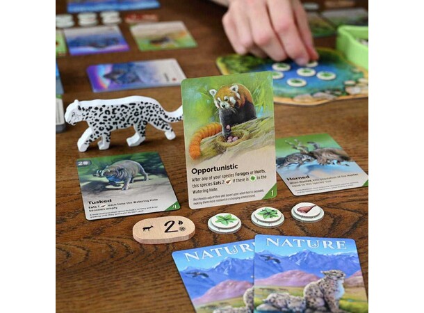 Nature Brädspel 