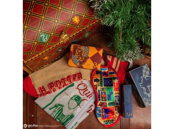 Harry Potter Julkalender Quidditch Advent Calendar 