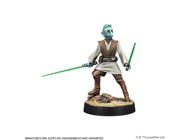 Star Wars Legion Customizable Jedi General and Knight 