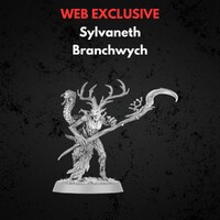 Sylvaneth Branchwych Warhammer Age of Sigmar