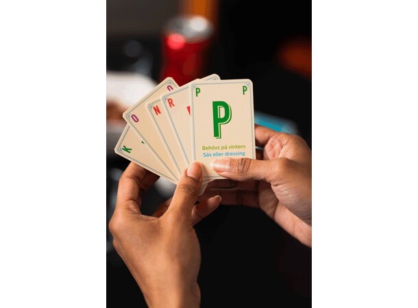 A-Ö Ordspel Svensk utgåva 