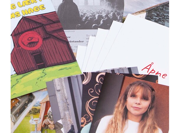 Drapet på Kultmedlemmene - NORSK Detective for a Day 