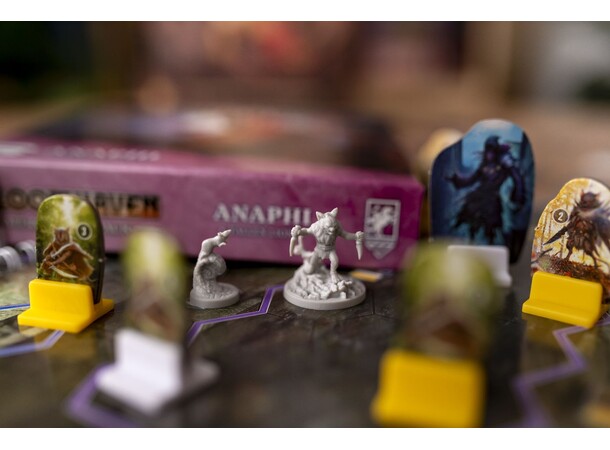 Gloomhaven Anaphi Fallen Lion Exp Mercenary Pack 