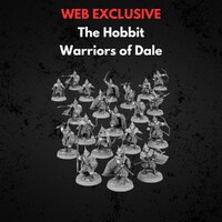 Warriors of Dale Middle-earth Strategy Battle Game
